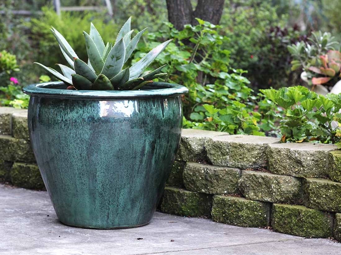 Fish Bowl Planter — Set of 3