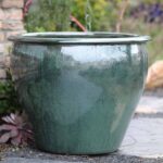 Fish Bowl Planter — Set of 3 — Peacock Green