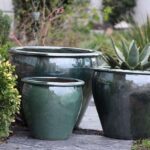 Fish Bowl Planter — Set of 3 — Peacock Green