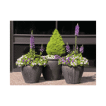 Fish Bowl Planter — Set of 3 — Silver Rock