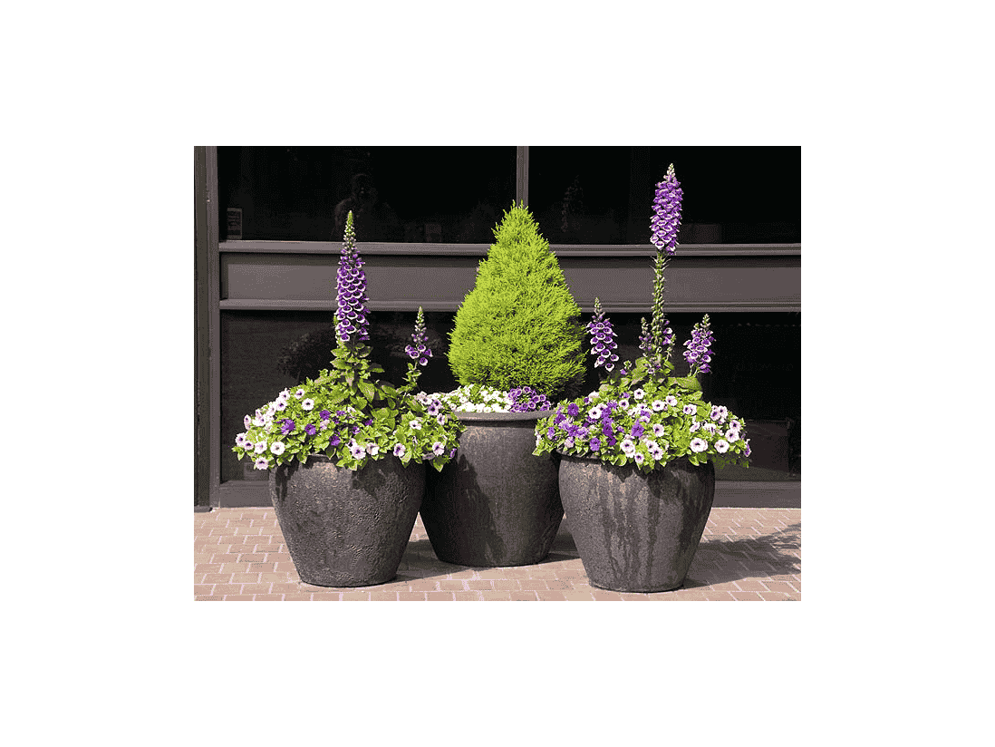 Fish Bowl Planter — Set of 3