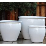Fish Bowl Planter — Set of 3 — White White