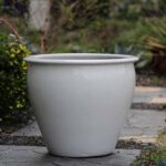 Fish Bowl Planter — Set of 3 — White White