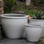 Fish Bowl Planter — Set of 3 — White White