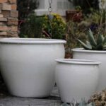 Fish Bowl Planter — Set of 3 — White White