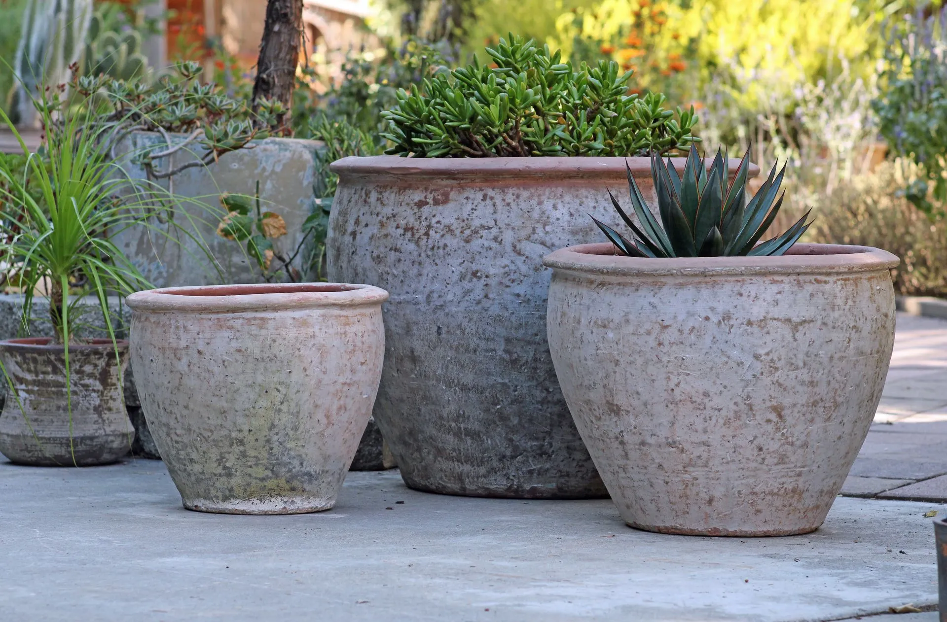 Rounded Rim Parco Planter — Set of 3 Rounded Rim Parco Planter — Set of 3
