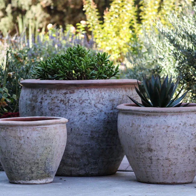 Rounded Rim Parco Planter — Set of 3