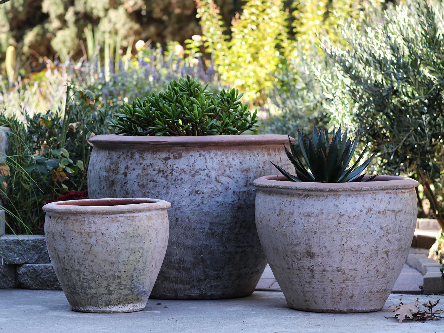 Rounded Rim Parco Planter — Set of 3 Rounded Rim Parco Planter — Set of 3