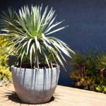 Extra Large Rimless Parco Planter — Set of 3 — Graphite