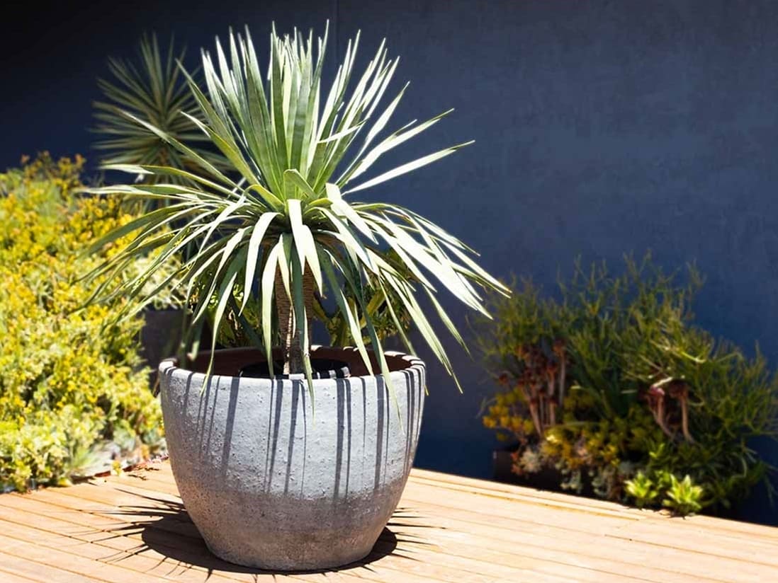 Extra Large Rimless Parco Planter — Set of 3 Extra Large Rimless Parco Planter — Set of 3