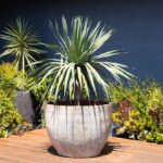 Extra Large Rimless Parco Planter — Set of 3 — Heirloom White