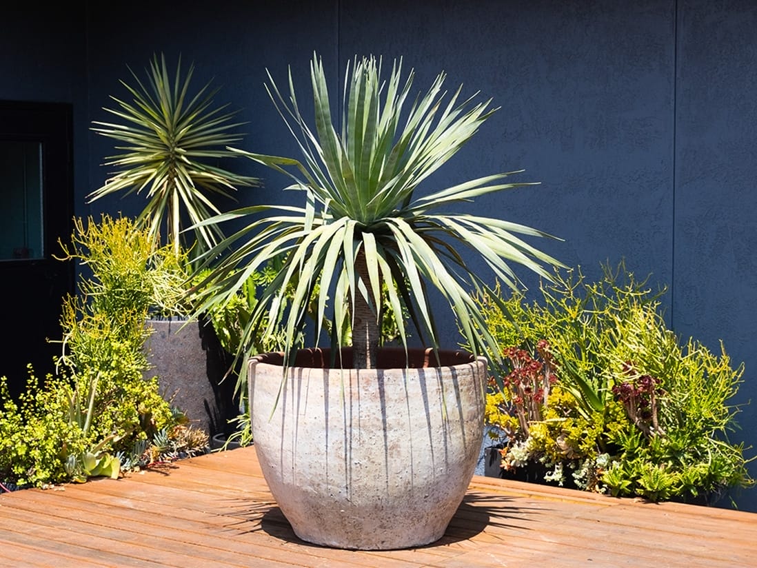 Extra Large Rimless Parco Planter — Set of 3 Extra Large Rimless Parco Planter — Set of 3