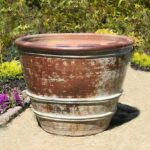 Roll Rim Citrus Planter — Set of 3 — Heirloom White