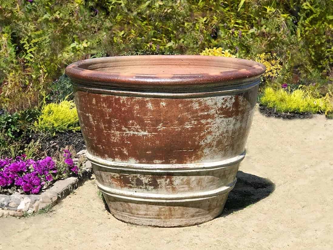 Roll Rim Citrus Planter — Set of 3