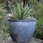 Prairie Pot — Aegean Sea