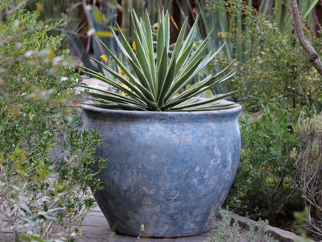 Prairie Pot Prairie Pot