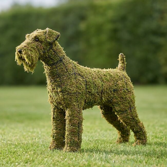 Airedale Topiary, 32 in (Mossed)