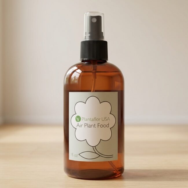 Air Plant Food Misting Spray Bottle