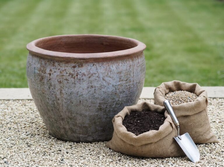 How to Plant a Live Topiary in a Planter