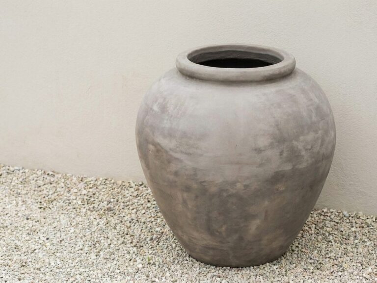 What Size Planter Does a Topiary Need?