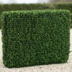 Artificial Boxwood Hedge Topiary, 35 in