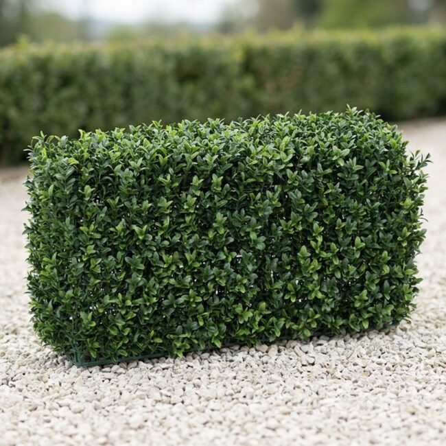 UV Boxwood Hedge Topiary, 24 x 11 x 12 in