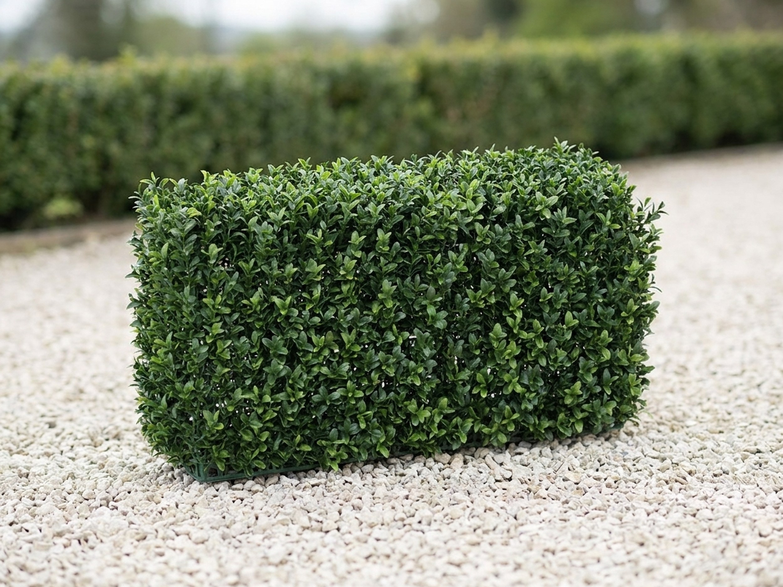 UV Boxwood Hedge Topiary, 24 x 11 x 12 in