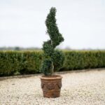 Artificial Spiral Topiary, 4 ft