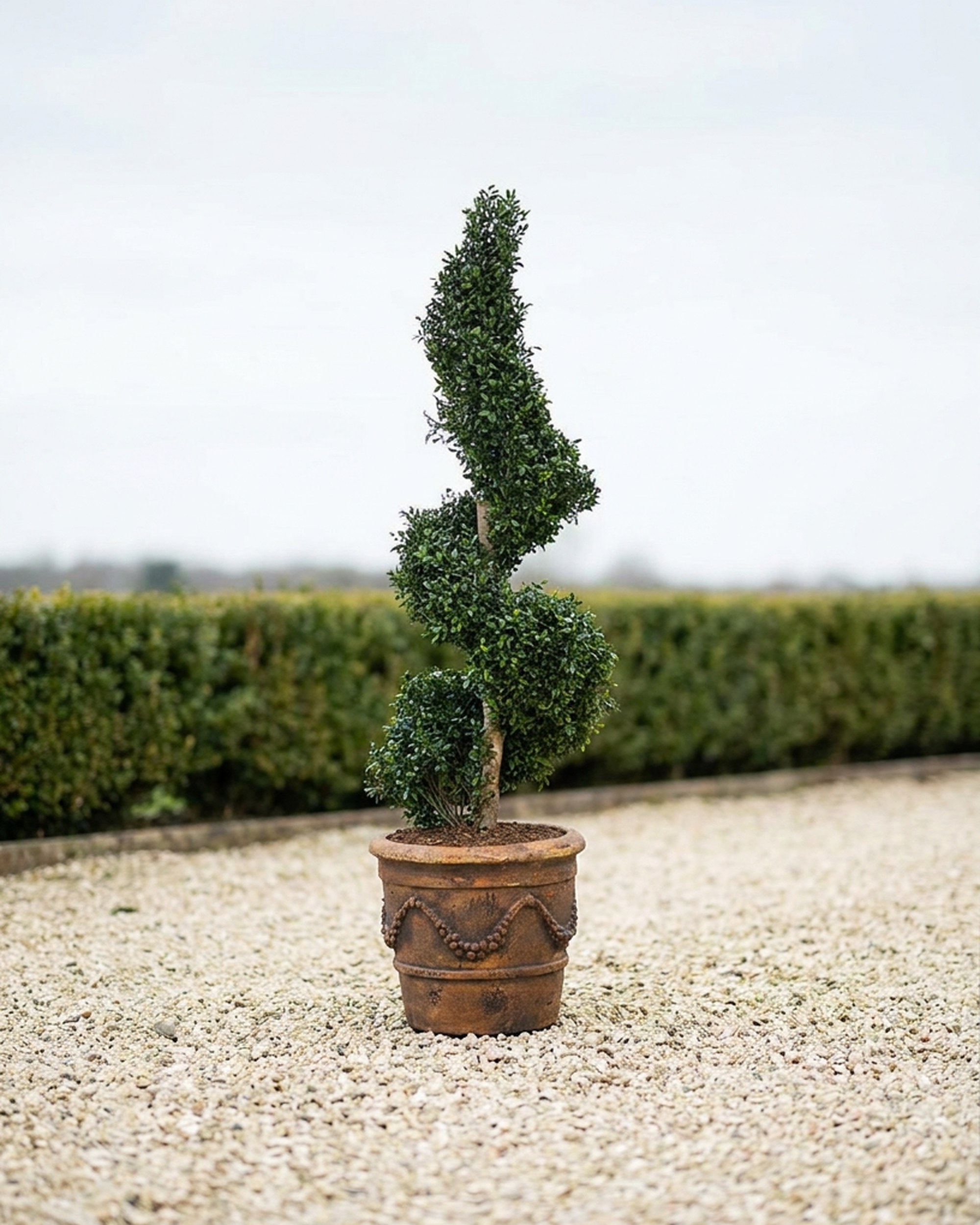 Spiral Topiary, Artificial, 4 ft Spiral Topiary, Artificial, 4 ft