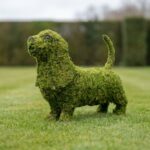 Basset Hound Mossed Topiary, 21 In