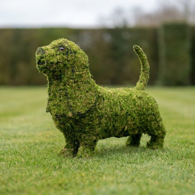 Basset Hound Mossed Topiary, 21 In