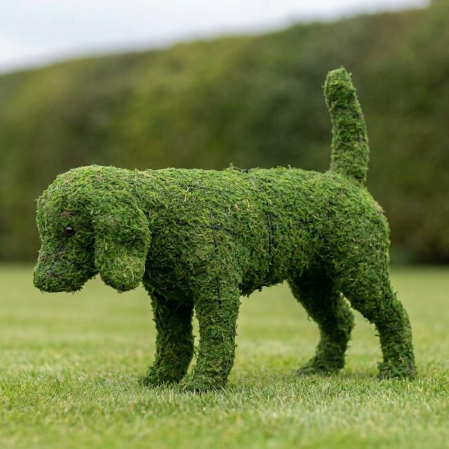 Beagle Topiary, 21 Inch (Mossed)
