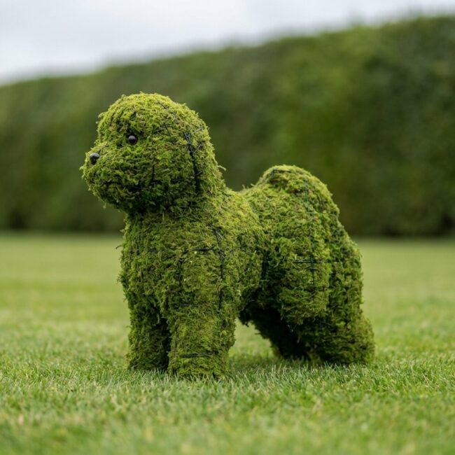 Bichon Frise Topiary, 19 in (Mossed)