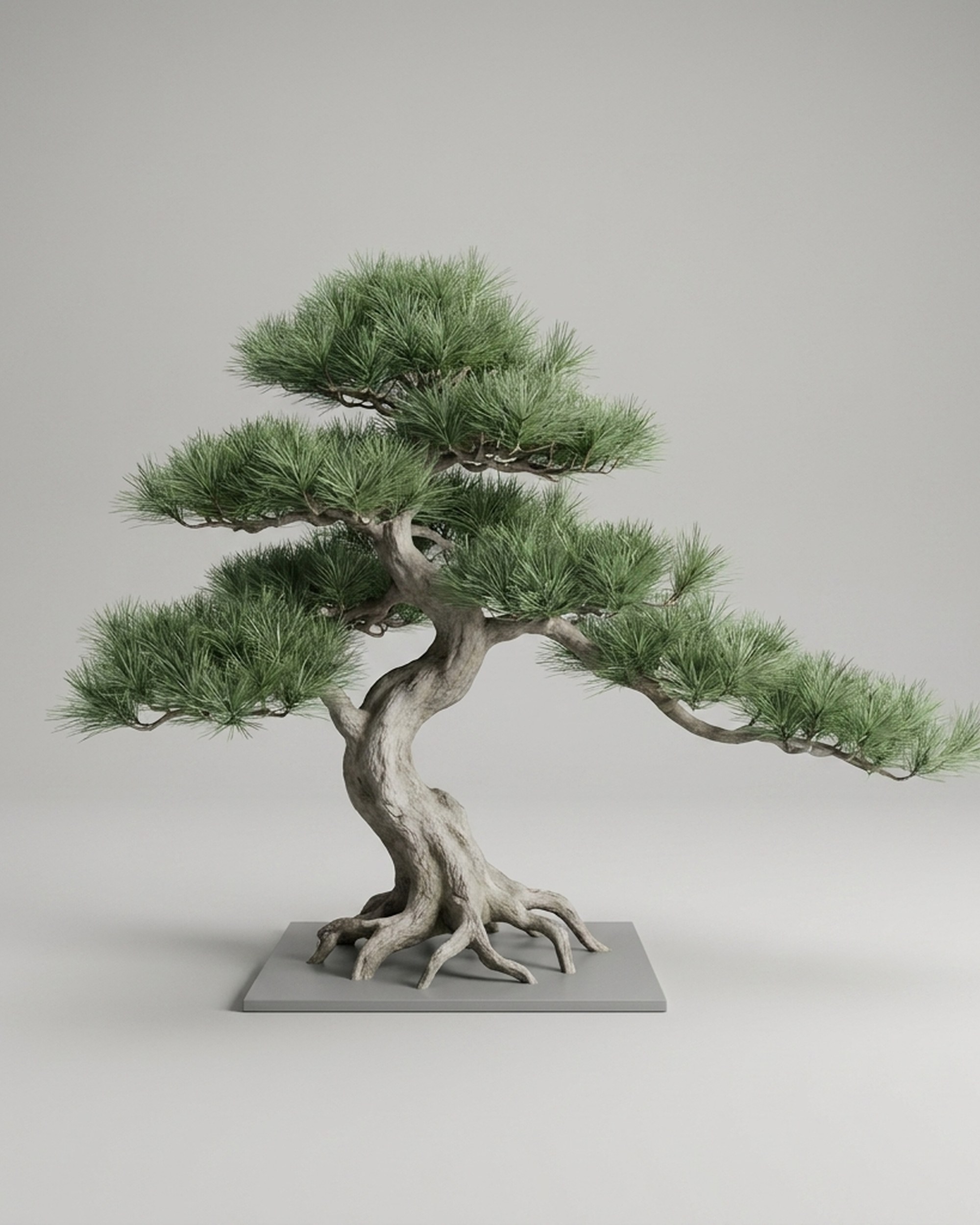 Bonsai Topiary, 160 cm Bonsai Topiary, 160 cm