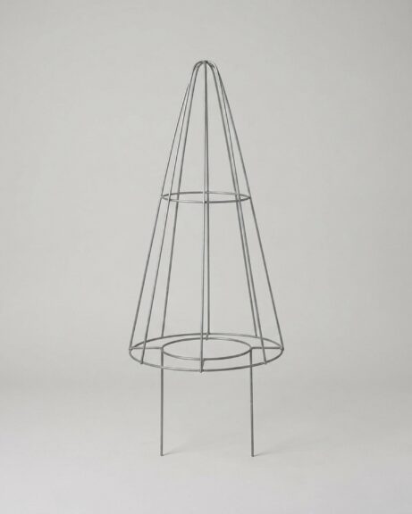 Boxwood Cone DIY Topiary Shaping Frame