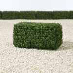 English Boxwood Hedge Topiary, 23 Inch
