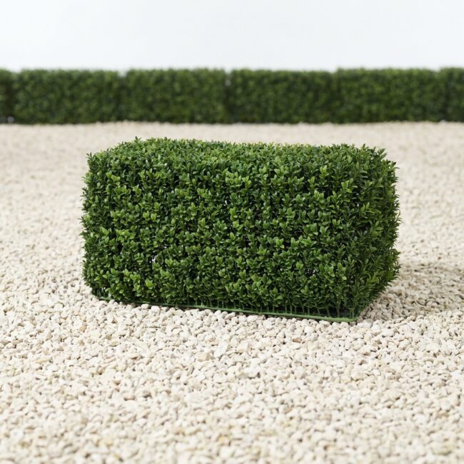 English Boxwood Hedge Topiary, 23 Inch