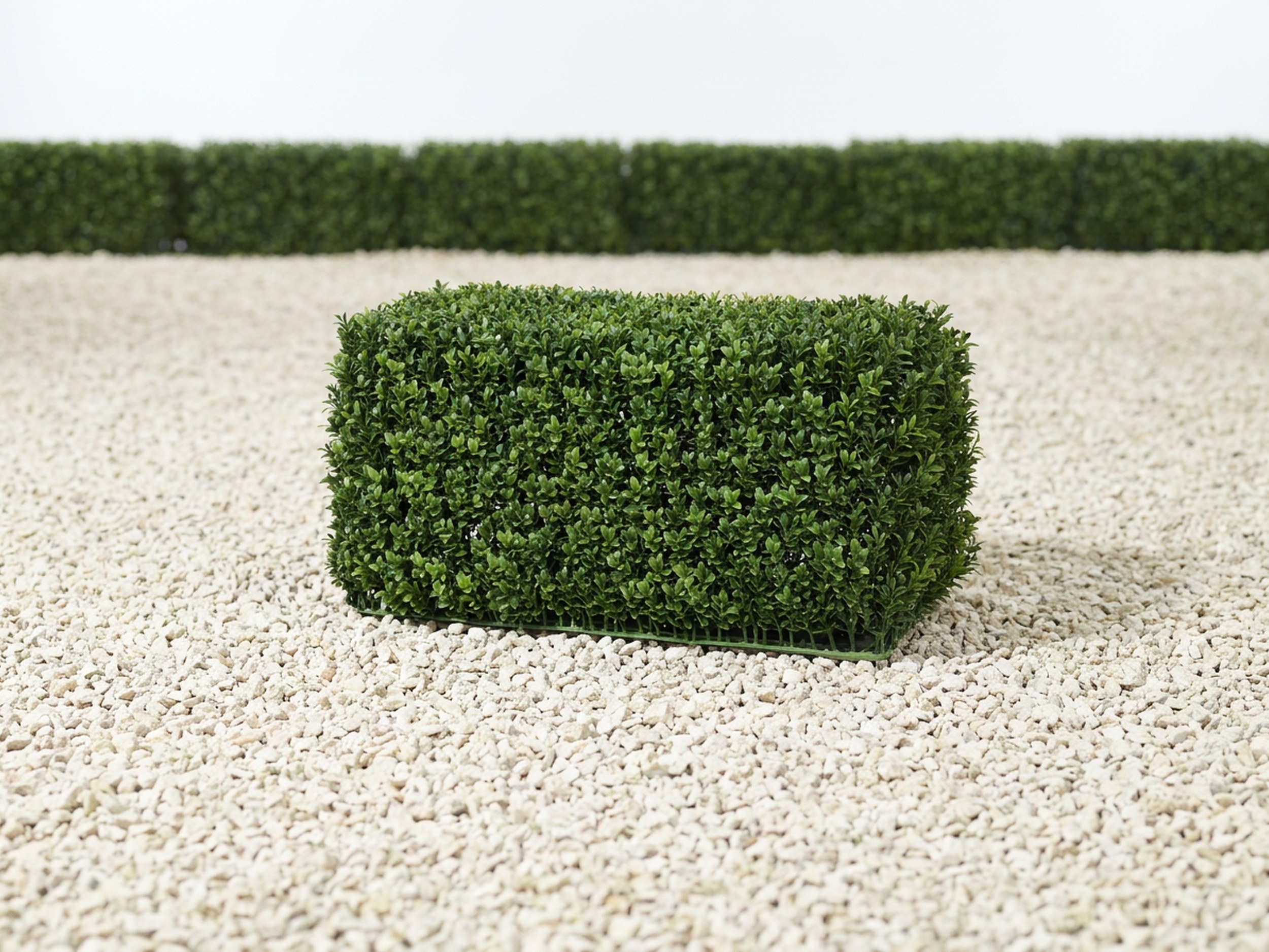 English Boxwood Hedge Topiary, 23 in