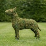 Bull Terrier Topiary, 27 Inch (Mossed)