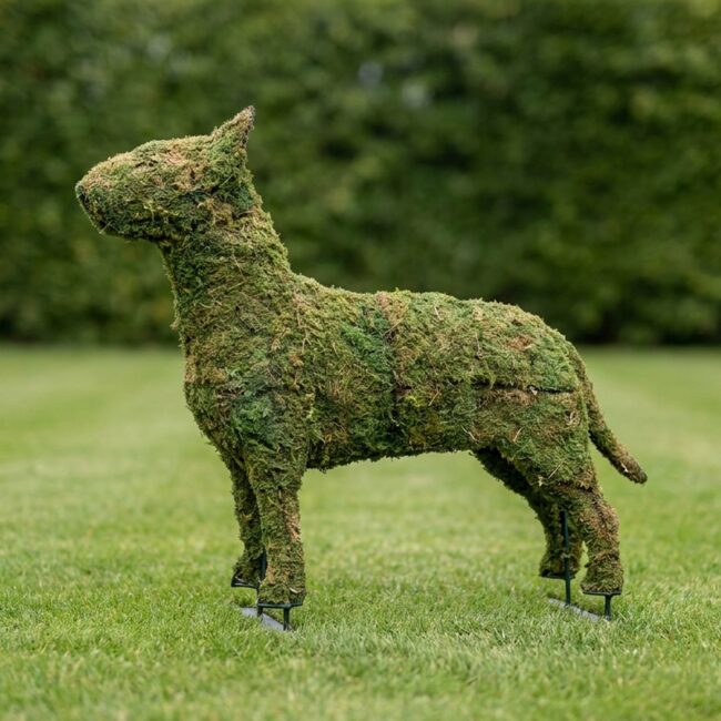 Bull Terrier Topiary, 27 Inch (Mossed)