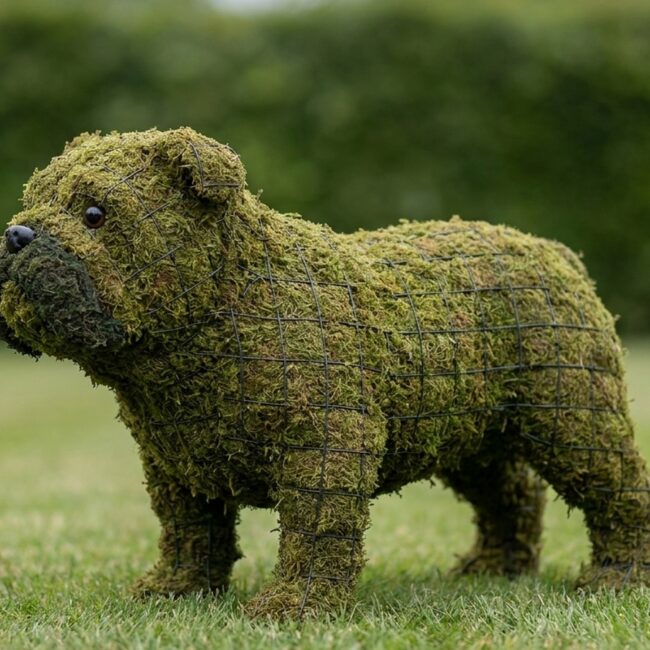 Bulldog Topiary, 16 Inch (Mossed)