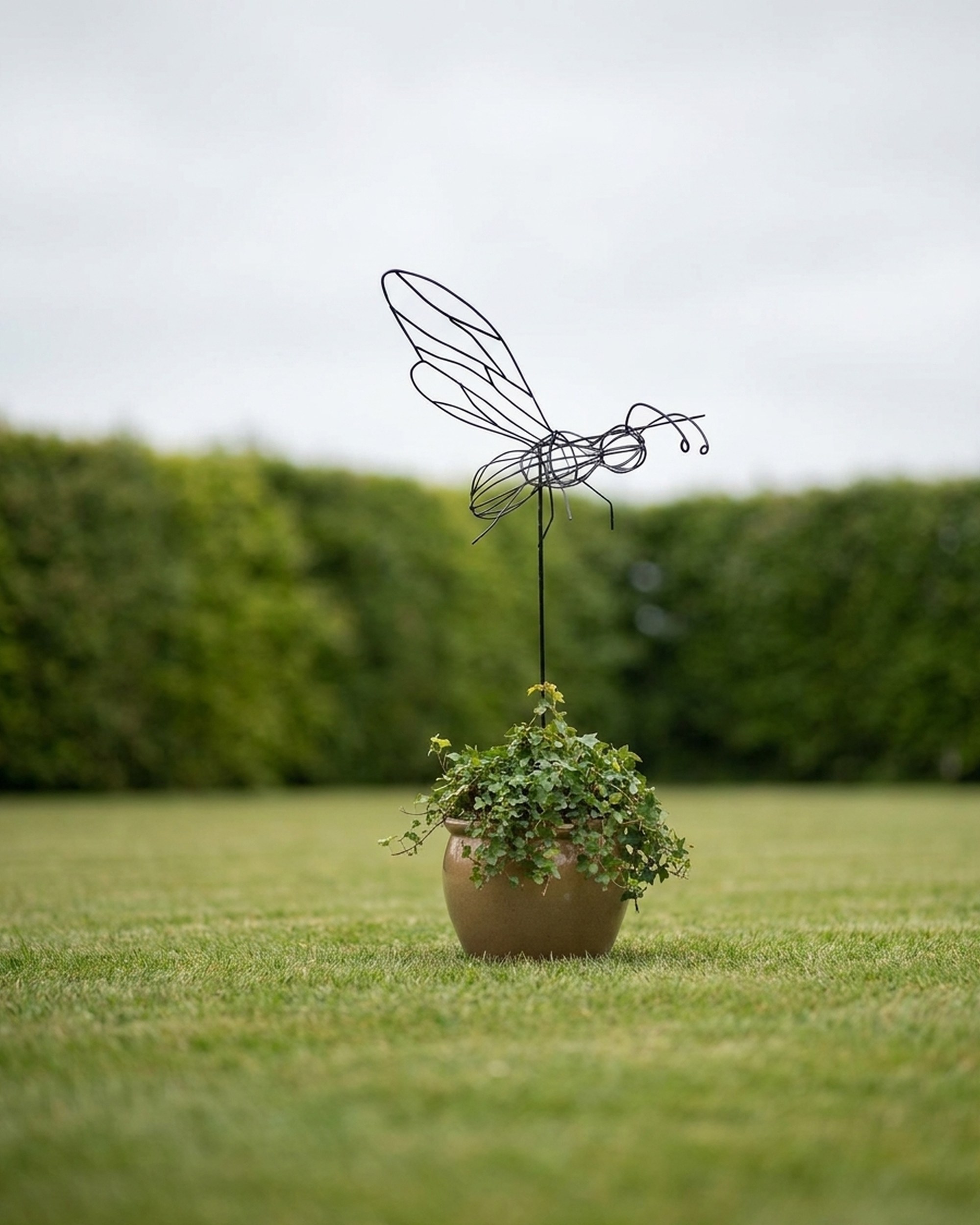 Bumble Bee DIY Shaping Topiary Bumble Bee DIY Shaping Topiary