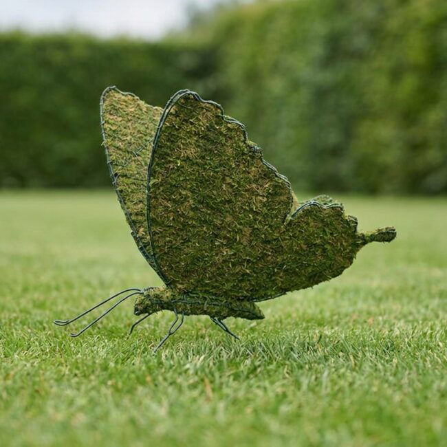 Butterfly Topiary, 20 Inch (Mossed)
