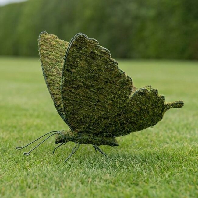 Butterfly Topiary, Mossed, 25 in