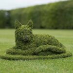 Lying Cat Topiary, Mossed, 10 in