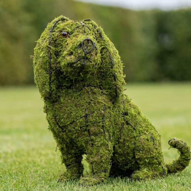 Sitting Cavalier Spaniel Topiary, 16 In (Mossed)