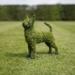 Chihuahua Topiary, 16 Inch (Mossed)