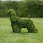 Cocker Spaniel Mossed Topiary, 21 in
