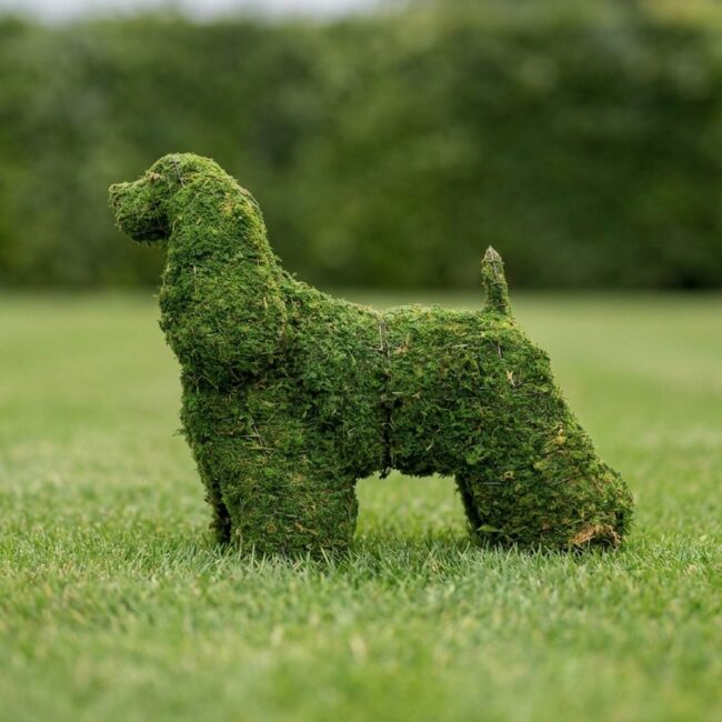 Cocker Spaniel Mossed Topiary, 21 in