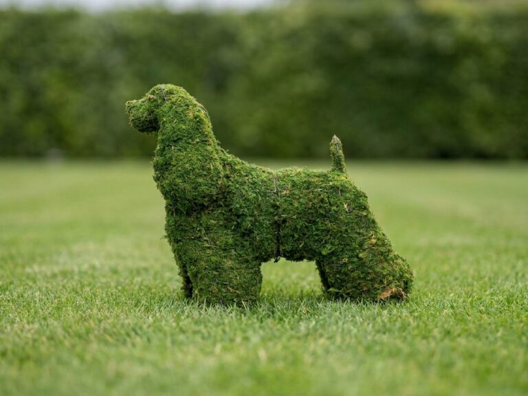 Cocker Spaniel Mossed Topiary, 21 in